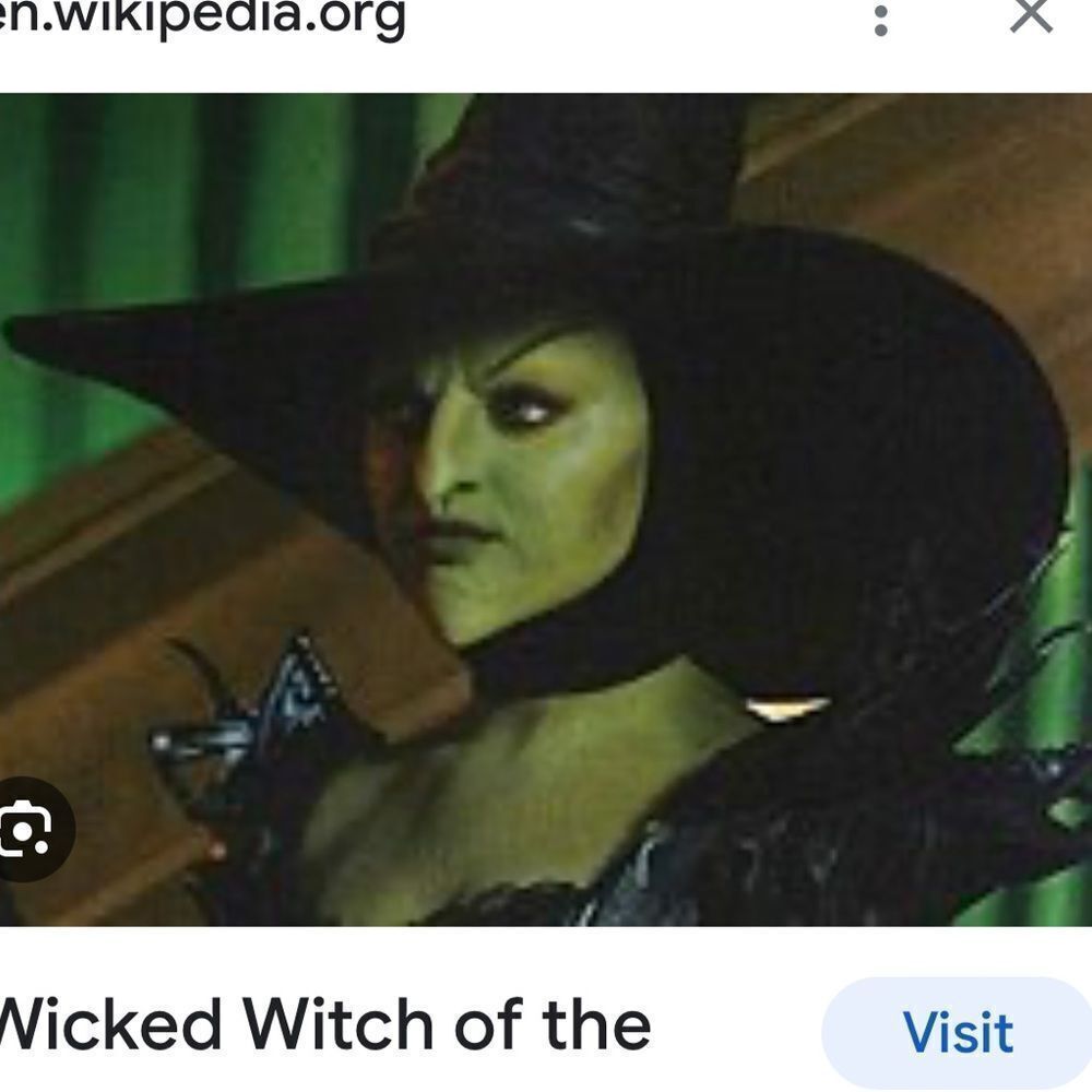 Disney Oz WICKED WITCH BLACK HAT Adult Disney Store, Never got to wear